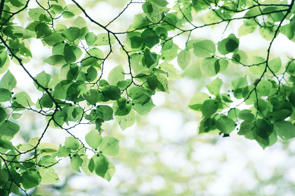 高端医疗产品的特点是什么